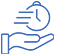 Rapid Delivery Capability