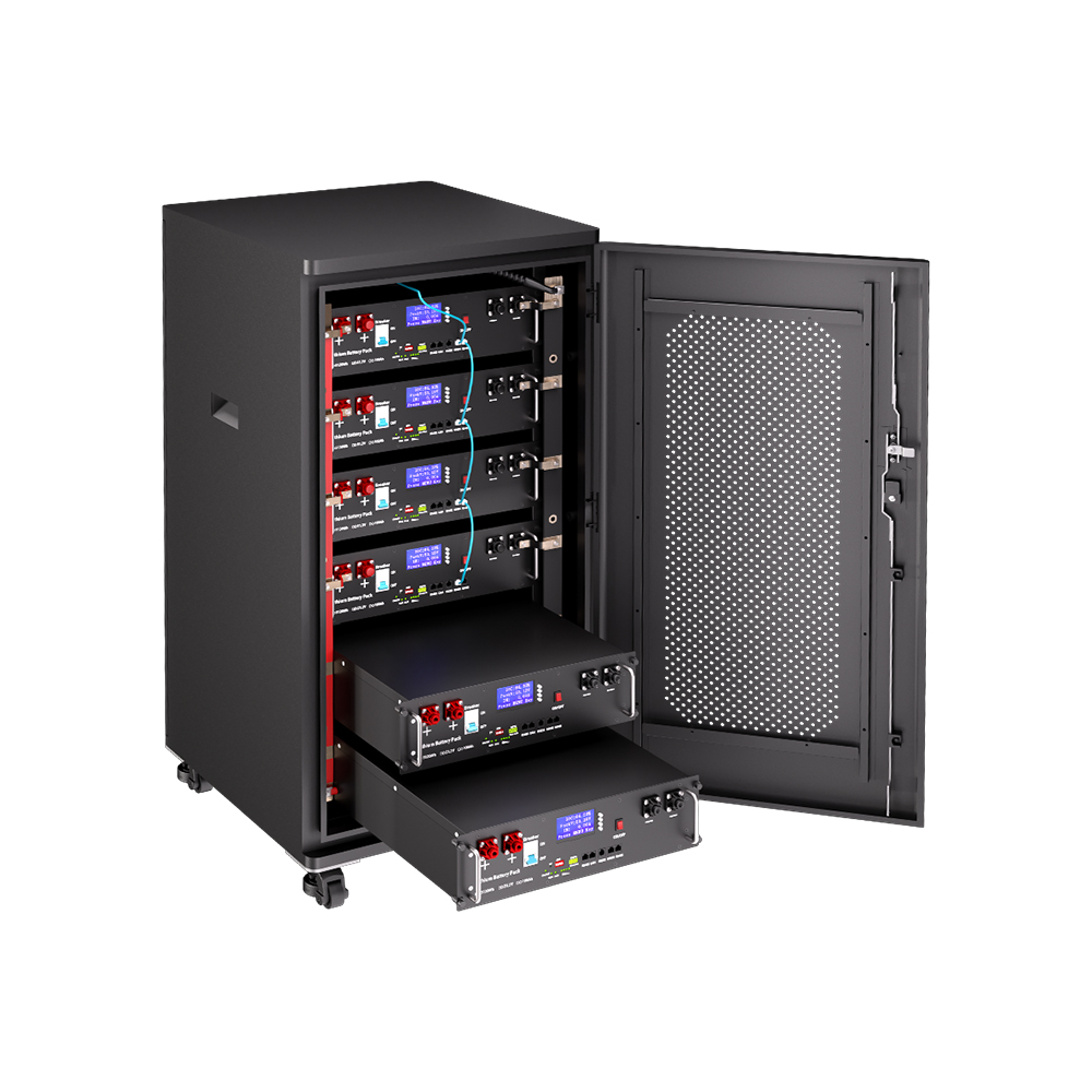51.2V 100Ah LifePO4 Rack Mounted Battery