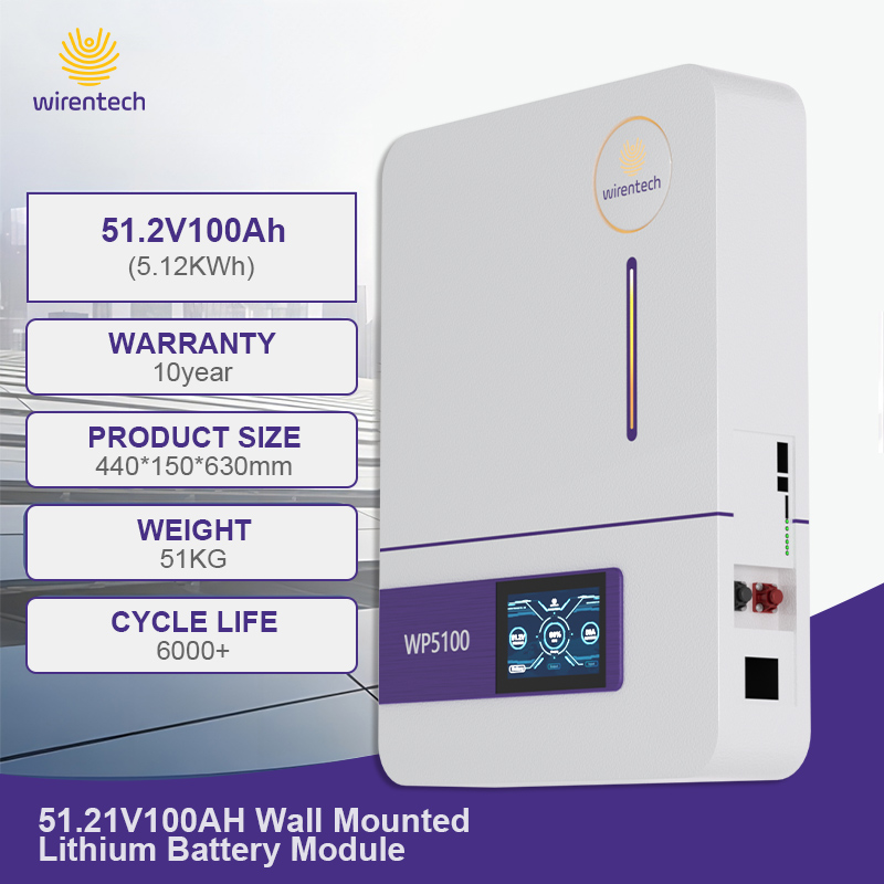 51.2V 100Ah LifePO4 Wall Mounted Battery