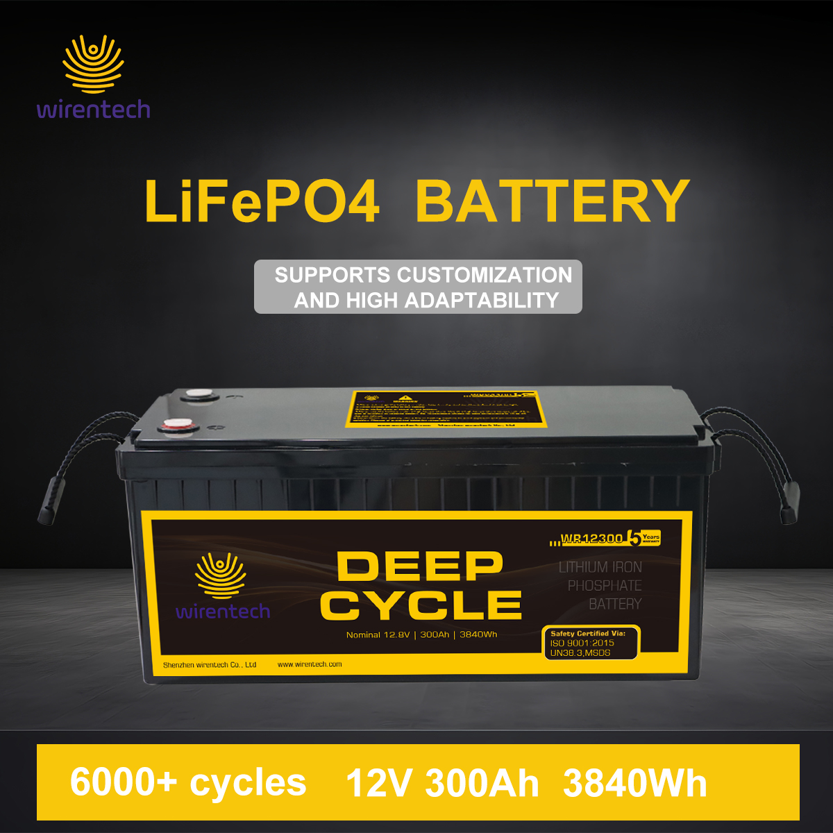 12V 300Ah LiFePO4 Deep Cycle Lithium Ion Batteries Pack