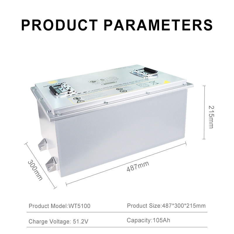 51.2V 100Ah LiFePO4 Battery for Golf Carts Trolley