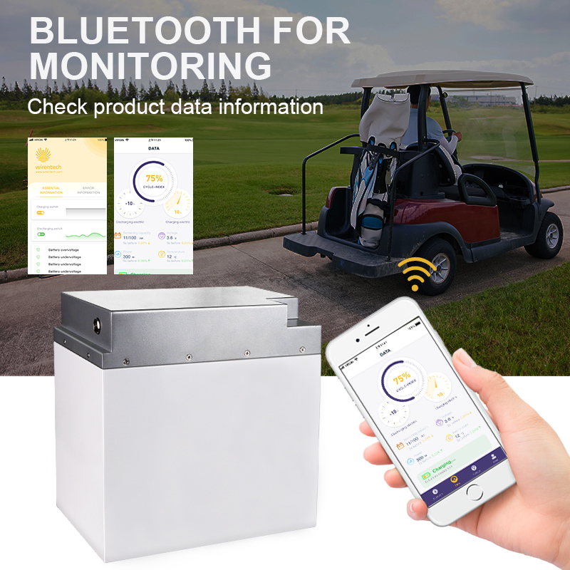 51.2V 50Ah Energy Storage Battery Pack Rechargeable Lithium Battery for RV Golf Cart