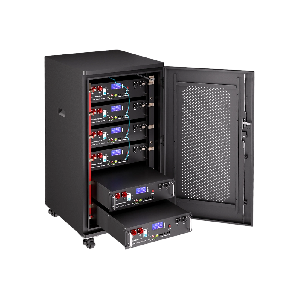 51.2V 100Ah LifePO4 Rack Mounted Battery